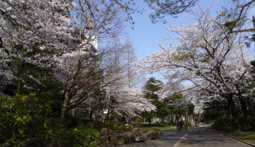 都堀公園