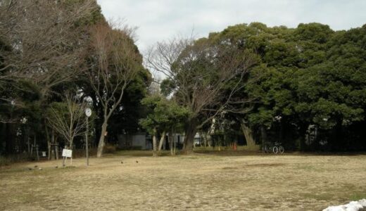田園調布せせらぎ公園