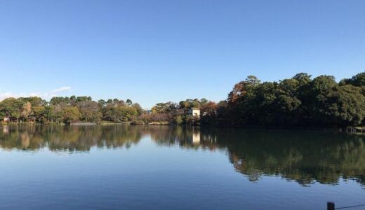 洗足池公園