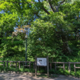 宝来山古墳